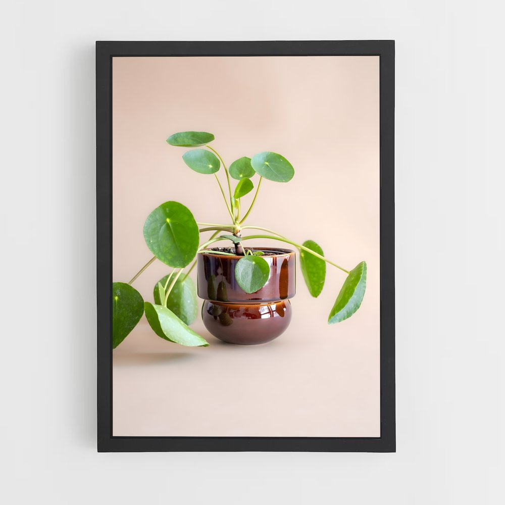 ap-flower pot-7 cadre Noir