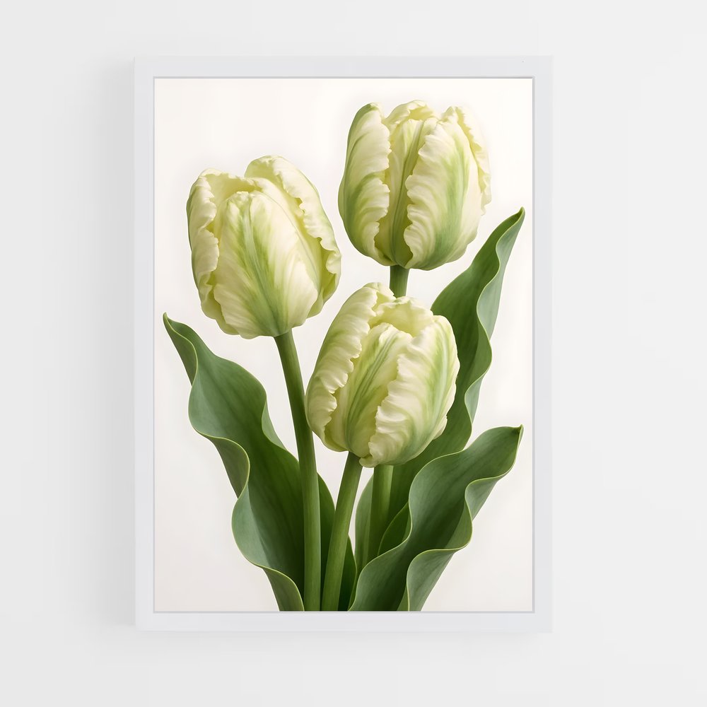 ap-flowers-6 cadre Blanc