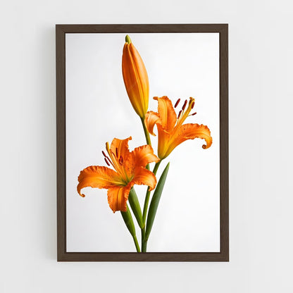 ap-flowers-7 cadre Bois foncé