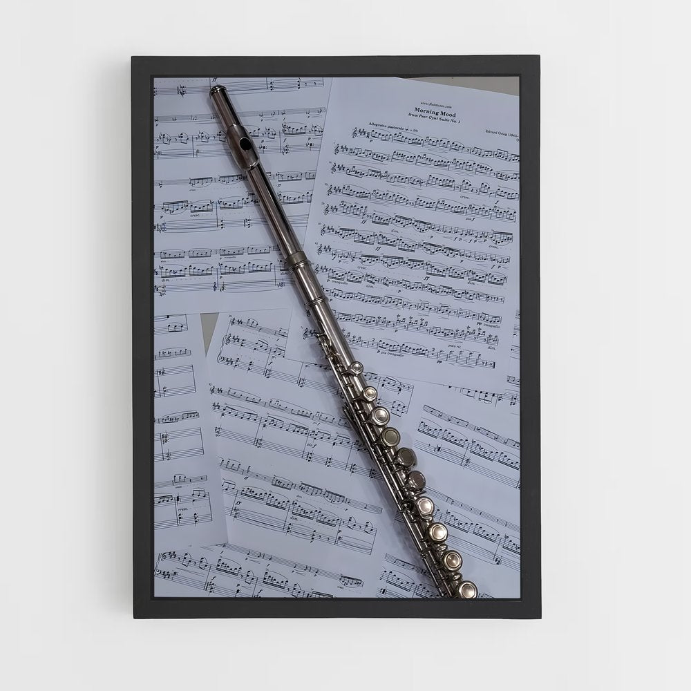 ap-flute-4 cadre Noir
