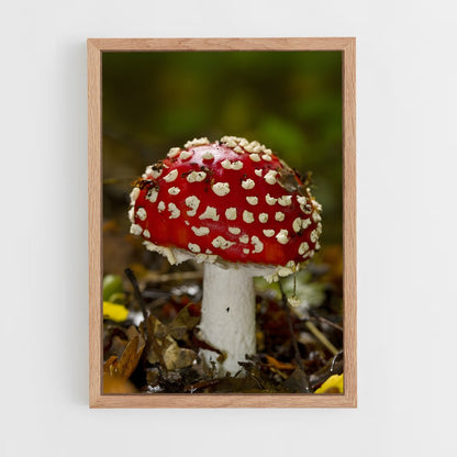 ap-fly agaric-10 cadre Bois clair