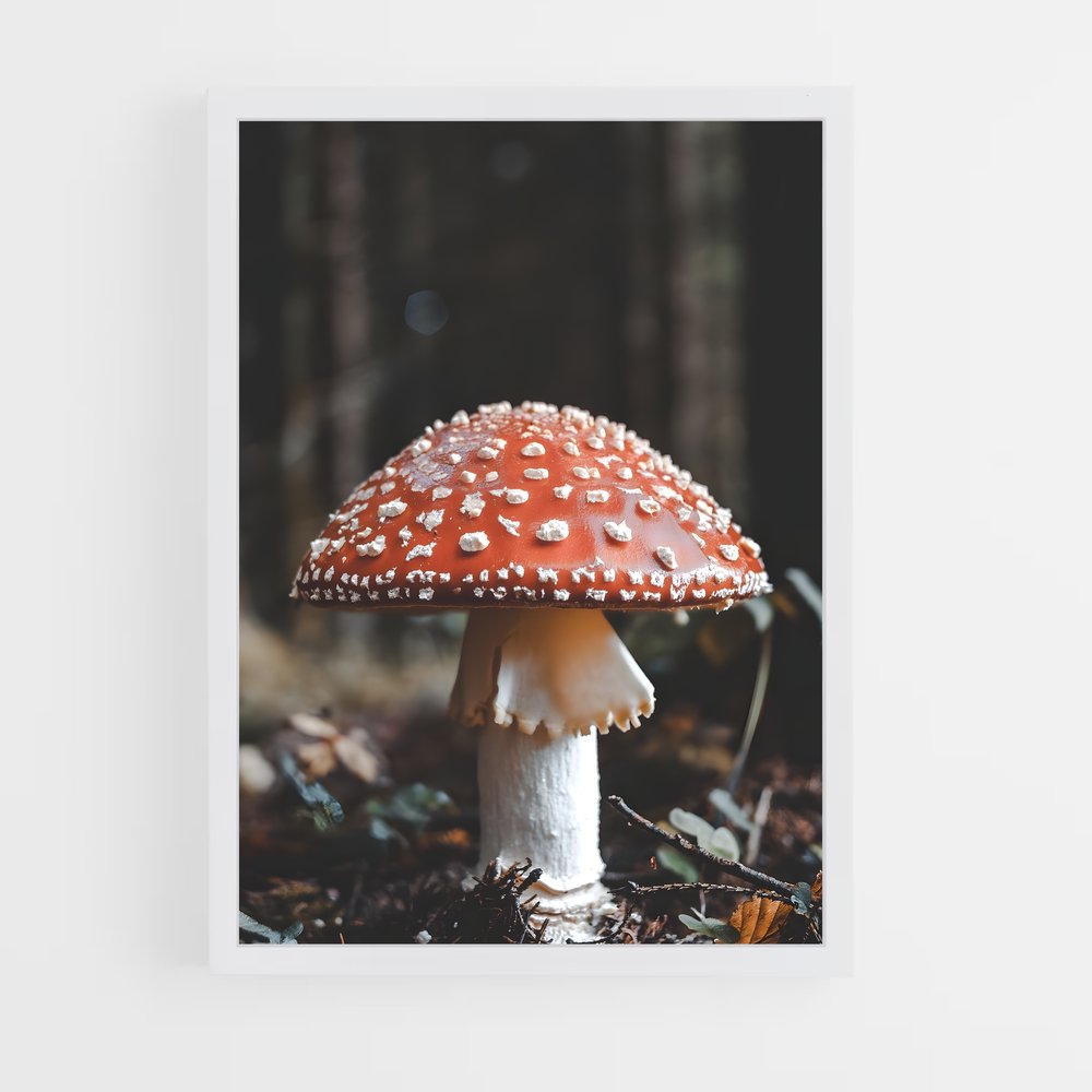 ap-fly agaric-3 cadre Blanc