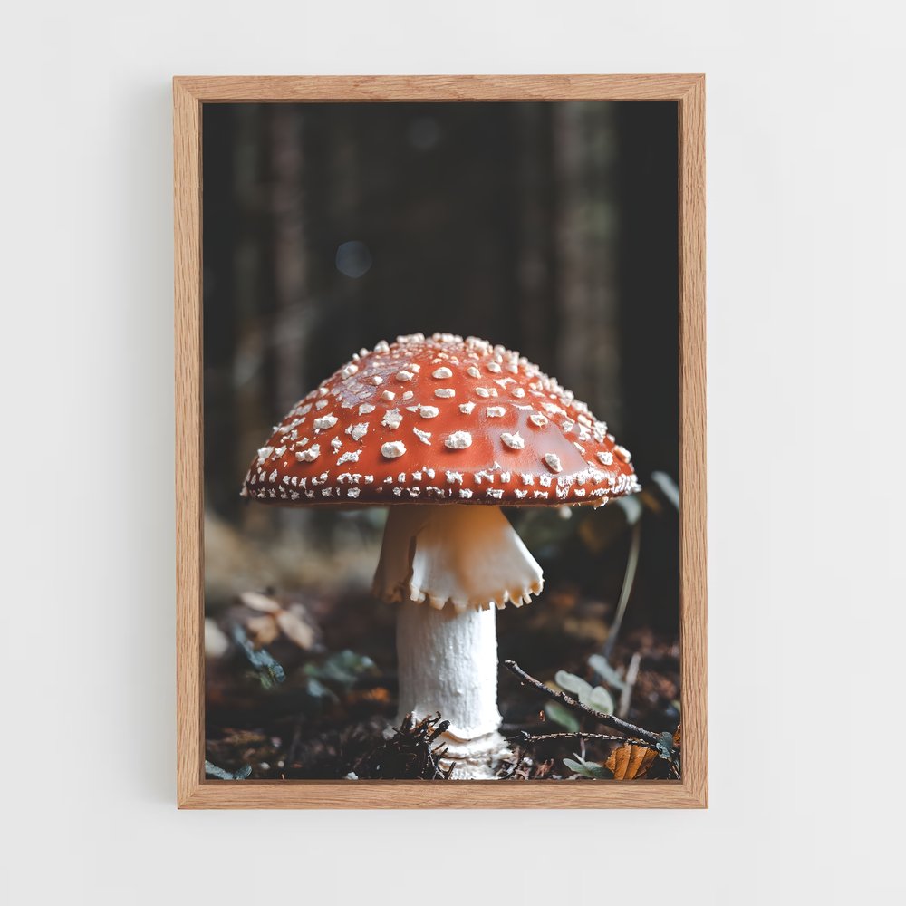 ap-fly agaric-3 cadre Bois clair