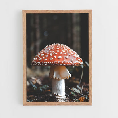 ap-fly agaric-3 cadre Bois clair