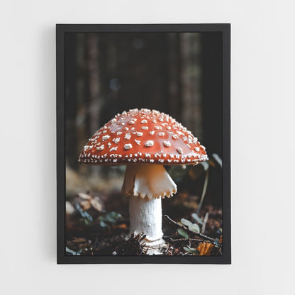 ap-fly agaric-3 cadre Noir