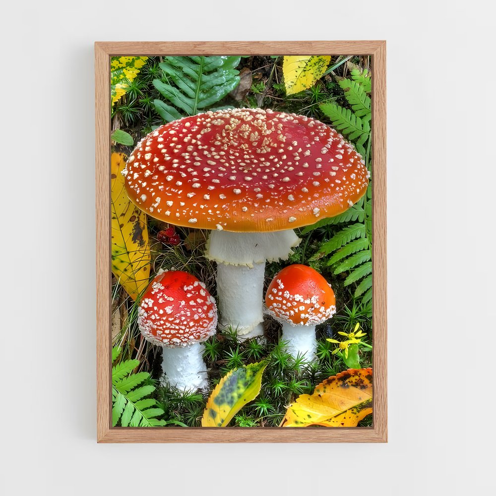 ap-fly agaric-5 cadre Bois clair