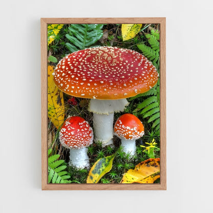 ap-fly agaric-5 cadre Bois clair