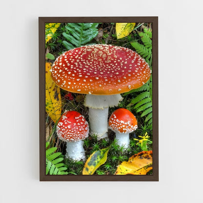 ap-fly agaric-5 cadre Bois foncé