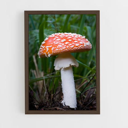 ap-fly agaric-7 cadre Bois foncé