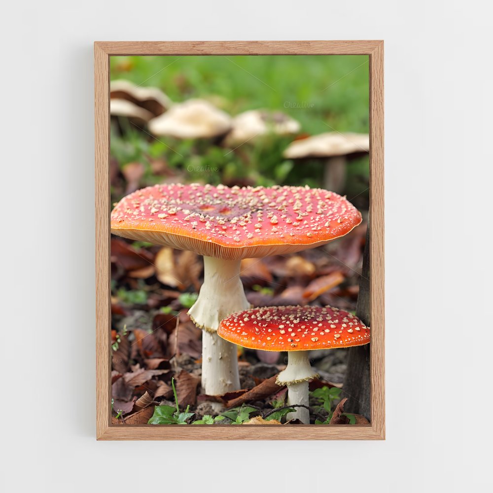 ap-fly agaric-8 cadre Bois clair