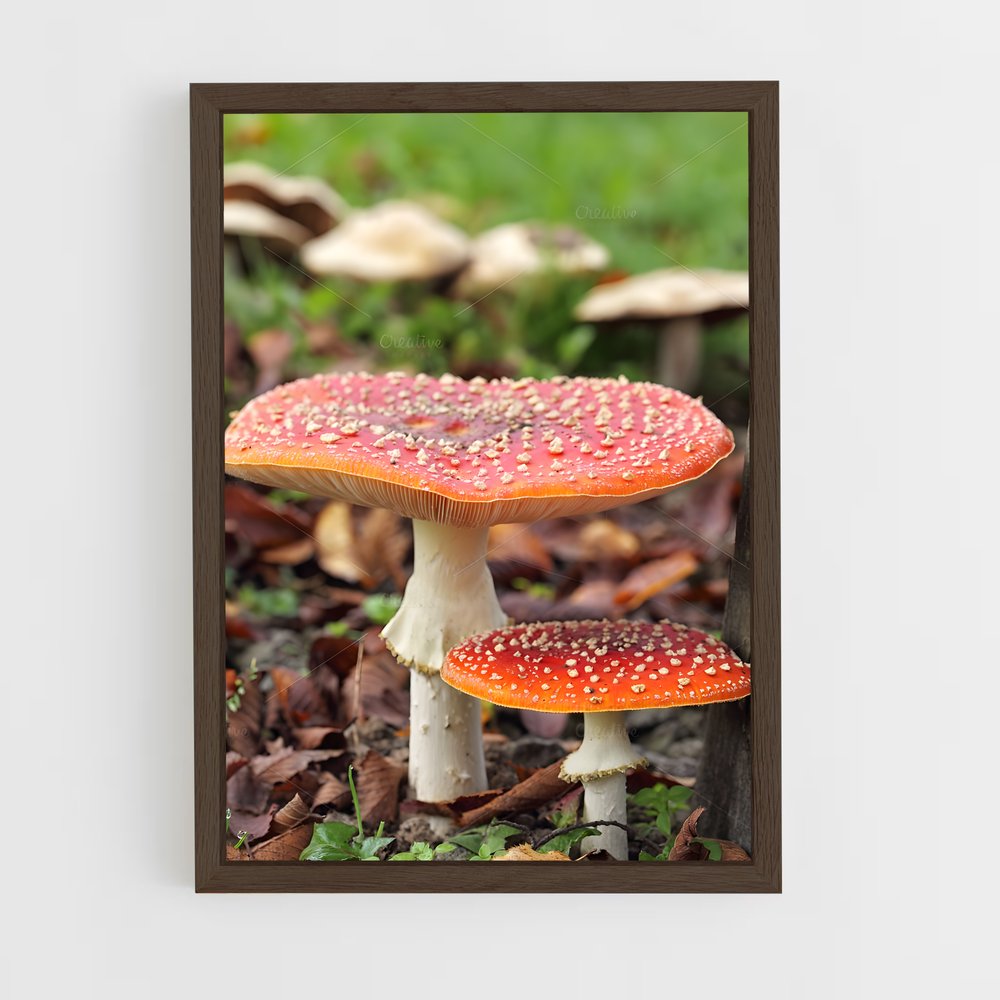 ap-fly agaric-8 cadre Bois foncé
