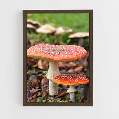 ap-fly agaric-8 cadre Bois foncé