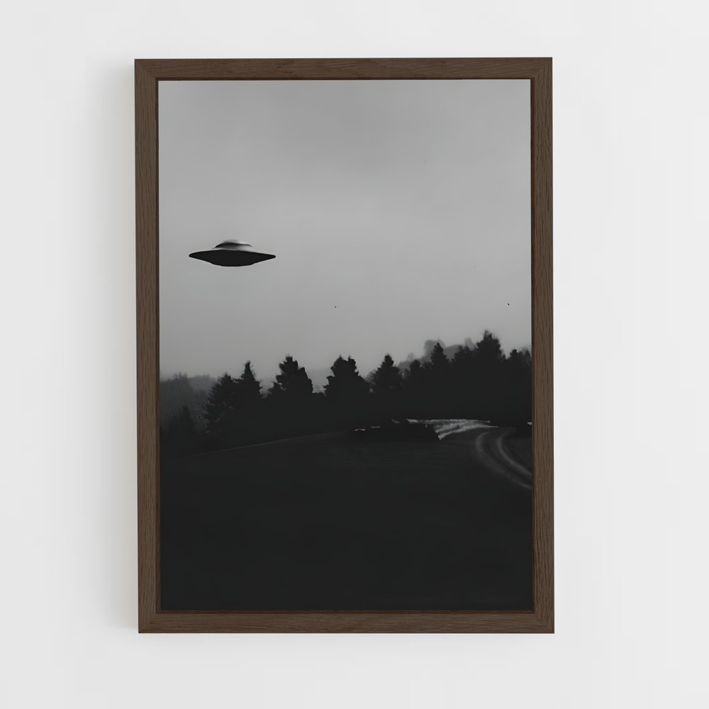 ap-flying disc-1 cadre Bois foncé