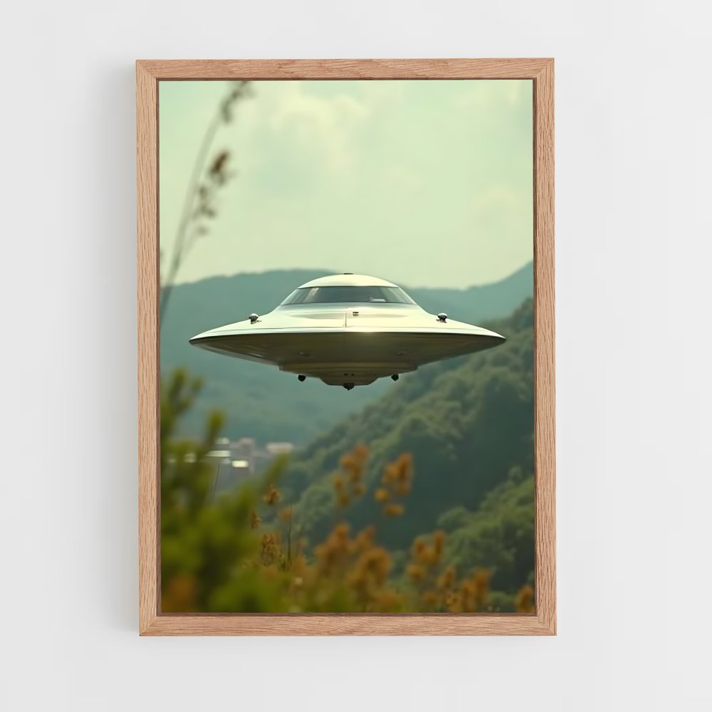 ap-flying saucer-2 cadre Bois clair