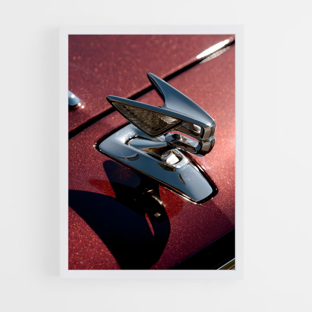 ap-flying spur speed-3 cadre Blanc