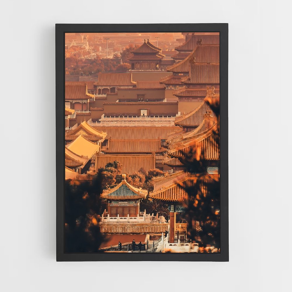 ap-forbidden city-3 cadre Noir