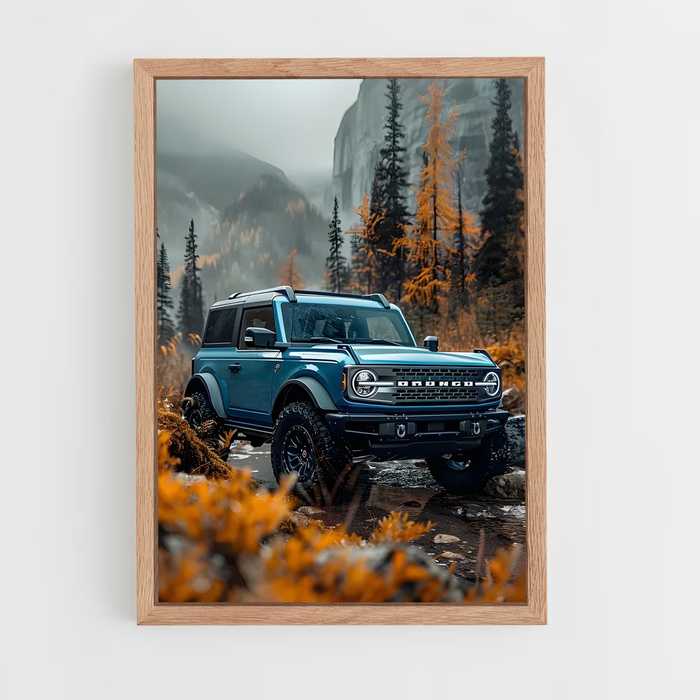 ap-ford bronco-1 cadre Bois clair