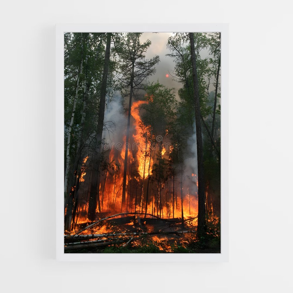 ap-forest fire-1 cadre Blanc