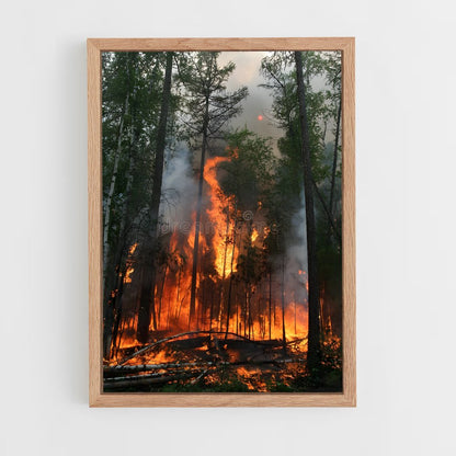 ap-forest fire-1 cadre Bois clair