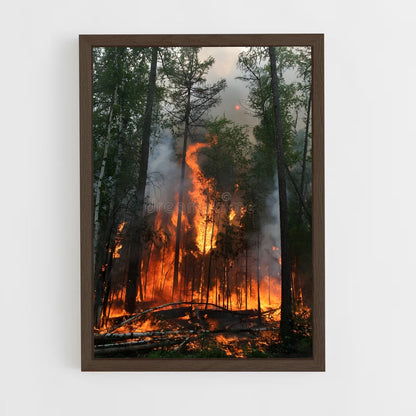 ap-forest fire-1 cadre Bois foncé