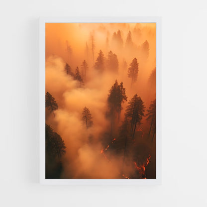 ap-forest fire-10 cadre Blanc