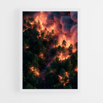ap-forest fire-3 cadre Blanc