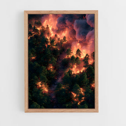 ap-forest fire-3 cadre Bois clair