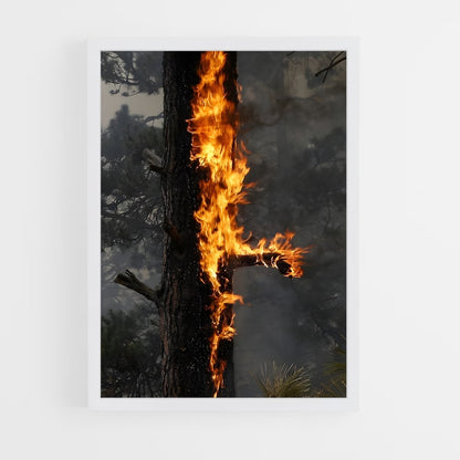 ap-forest fire-5 cadre Blanc