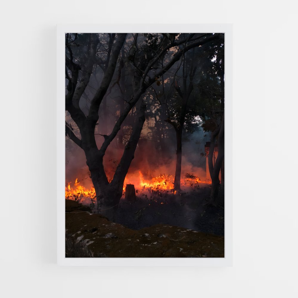 ap-forest fire-6 cadre Blanc