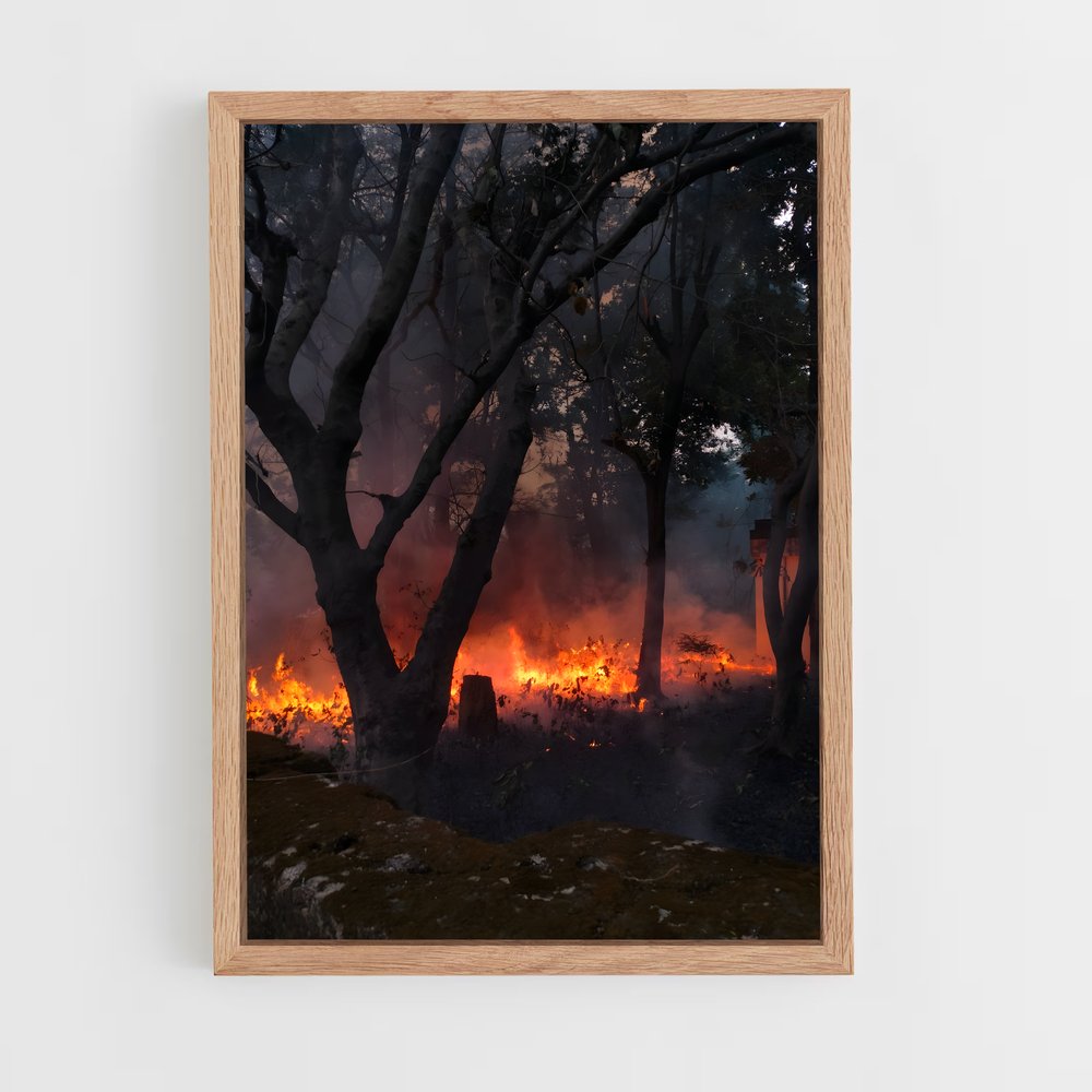 ap-forest fire-6 cadre Bois clair