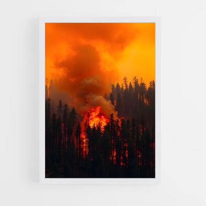 ap-forest fire-7 cadre Blanc