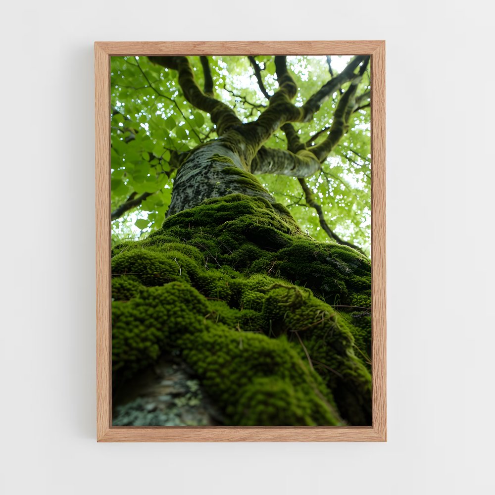 ap-forest moss-1 cadre Bois clair