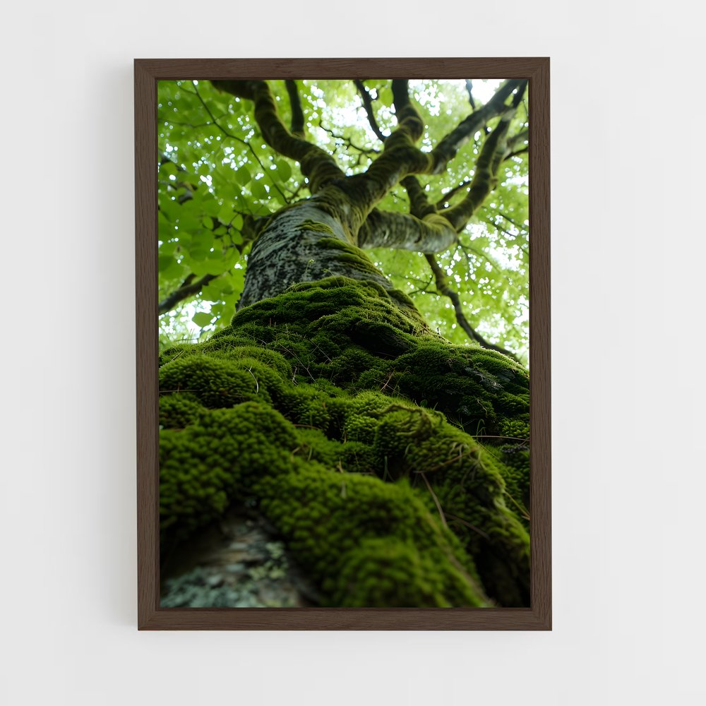 ap-forest moss-1 cadre Bois foncé