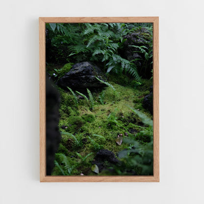 ap-forest moss-10 cadre Bois clair