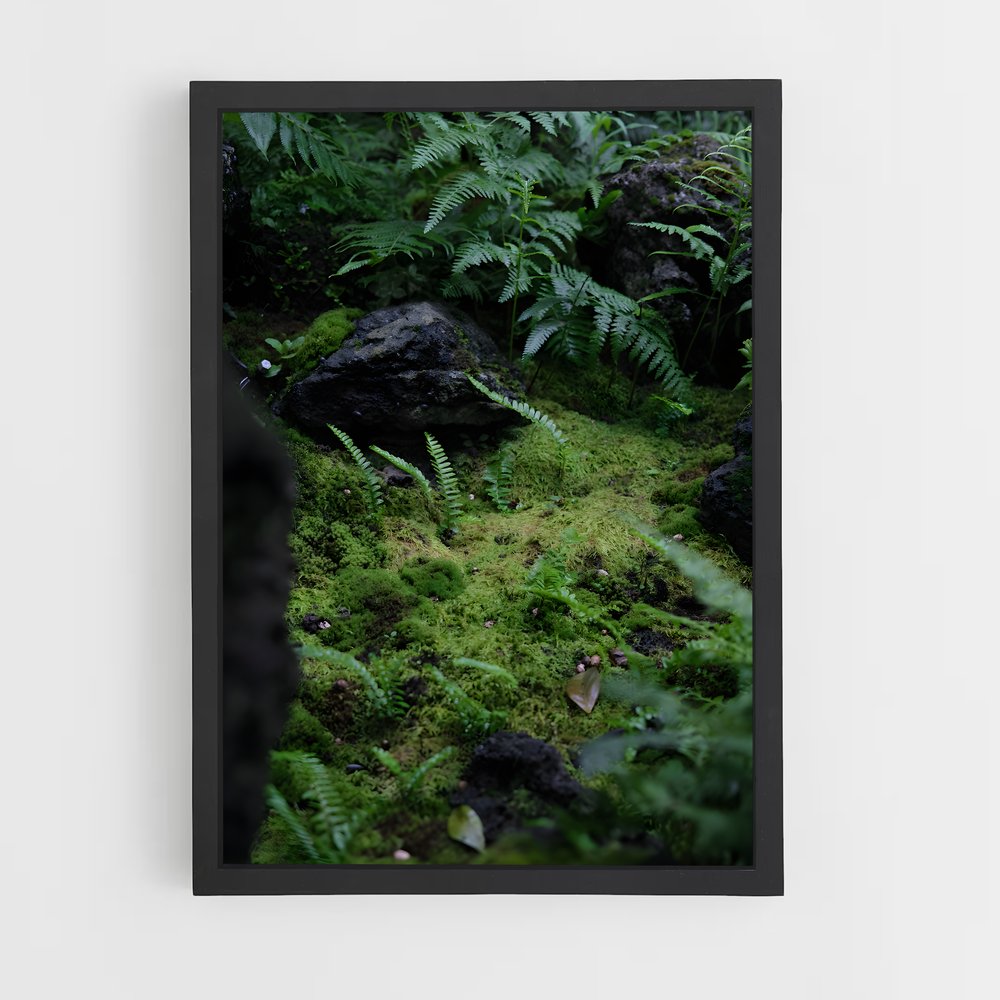 ap-forest moss-10 cadre Noir