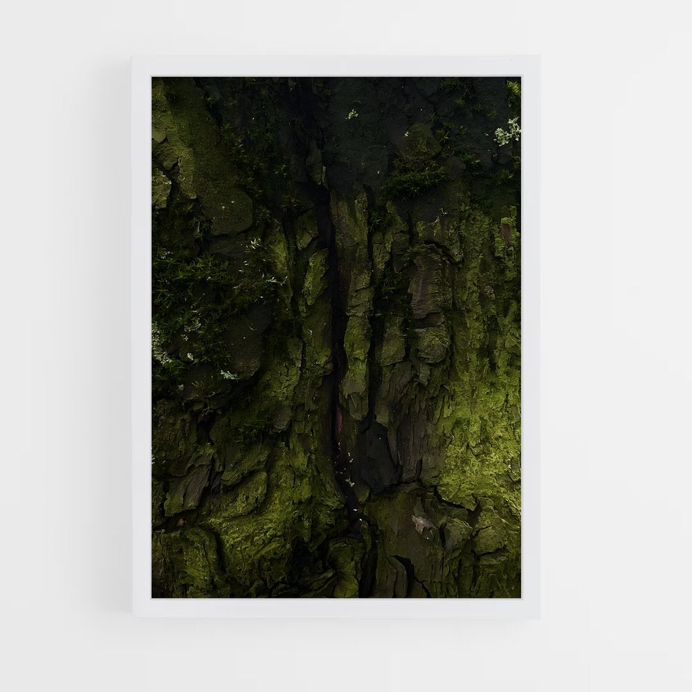 ap-forest moss-12 cadre Blanc