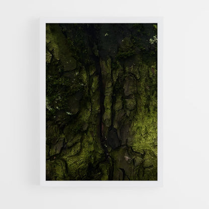 ap-forest moss-12 cadre Blanc