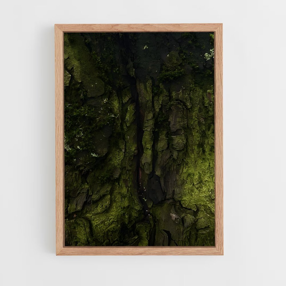 ap-forest moss-12 cadre Bois clair