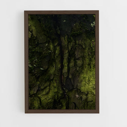 ap-forest moss-12 cadre Bois foncé