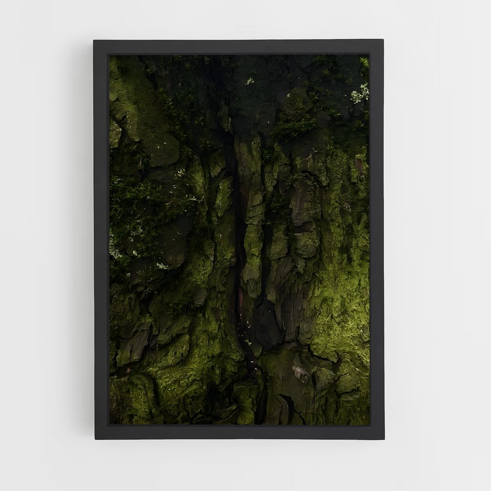 ap-forest moss-12 cadre Noir