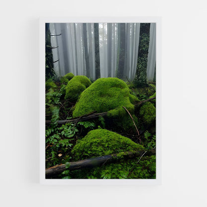 ap-forest moss-14 cadre Blanc