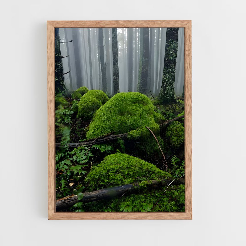 ap-forest moss-14 cadre Bois clair