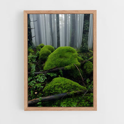 ap-forest moss-14 cadre Bois clair