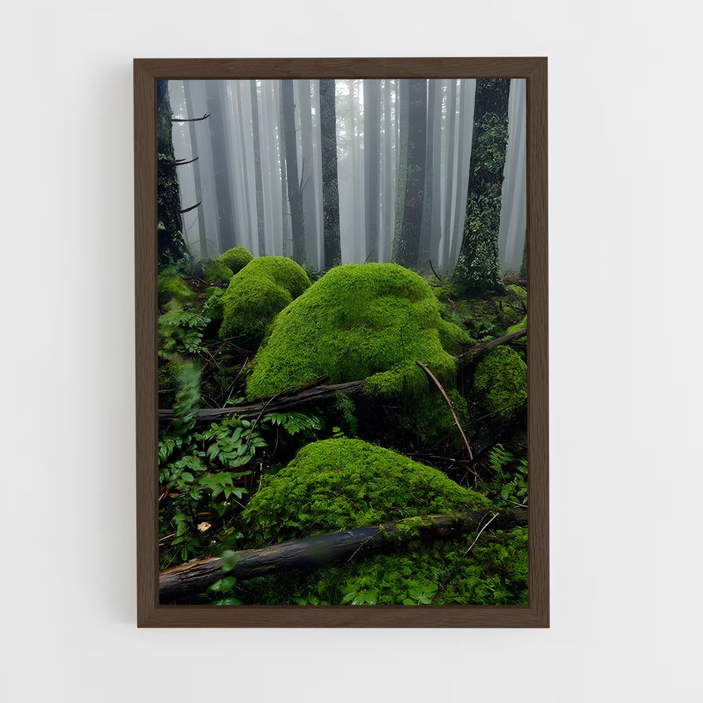 ap-forest moss-14 cadre Bois foncé