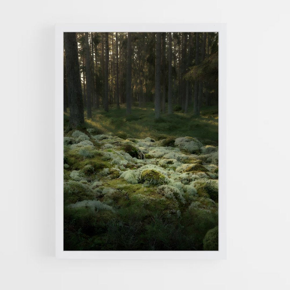 ap-forest moss-2 cadre Blanc
