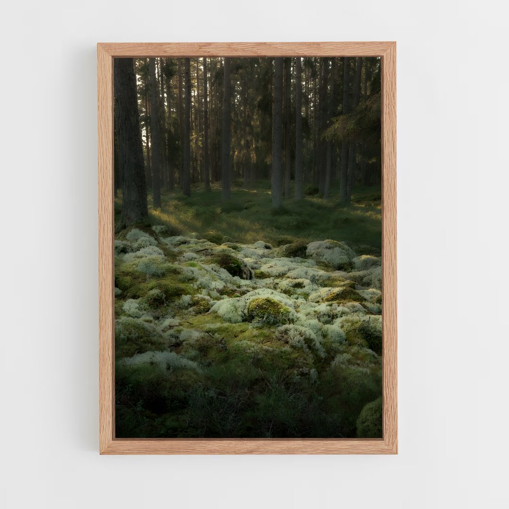 ap-forest moss-2 cadre Bois clair