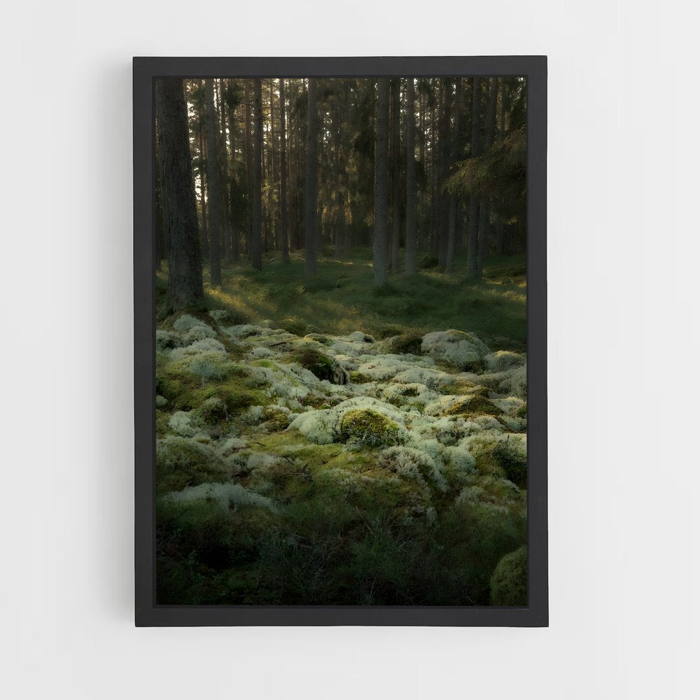 ap-forest moss-2 cadre Noir