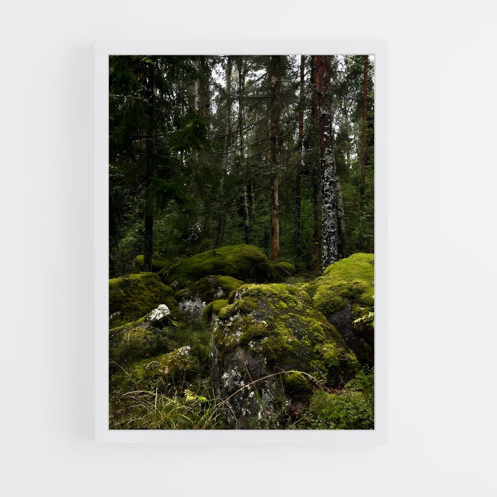 ap-forest moss-3 cadre Blanc