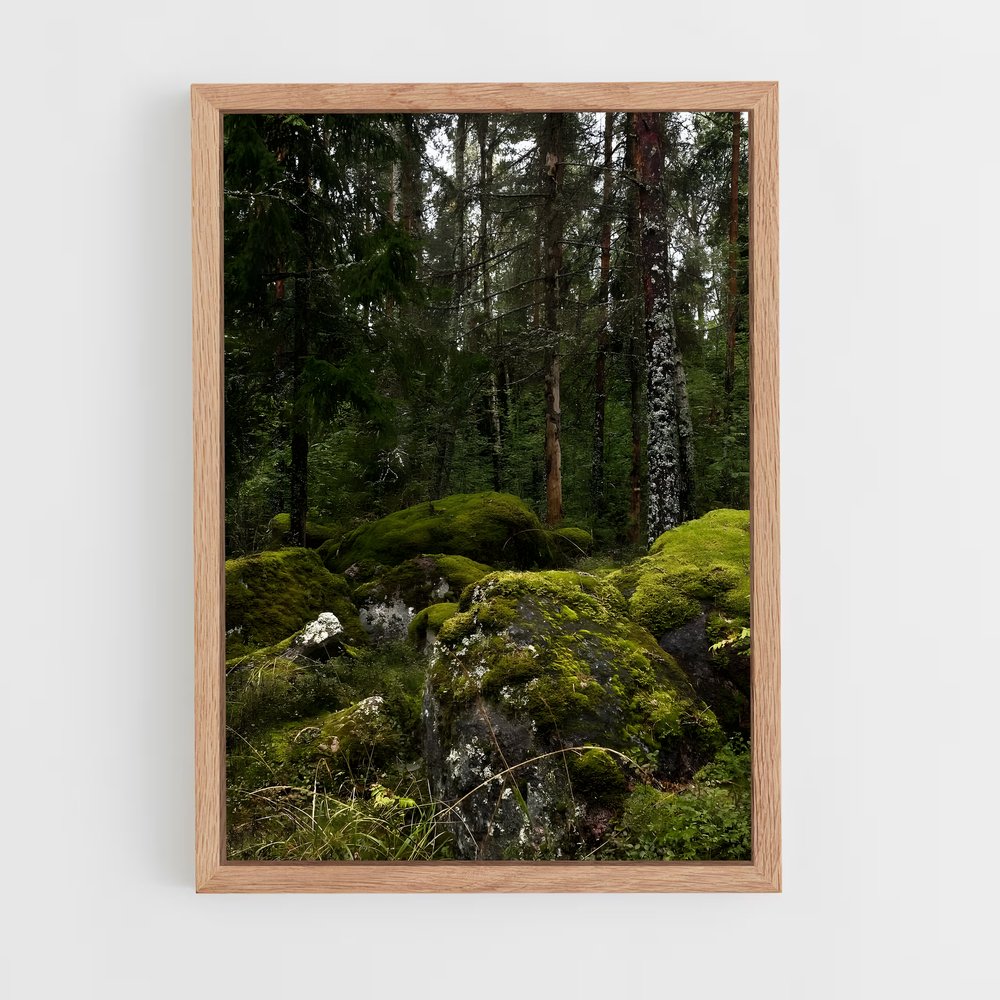 ap-forest moss-3 cadre Bois clair