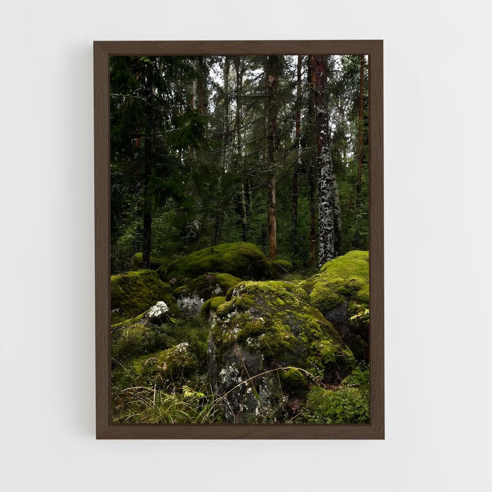 ap-forest moss-3 cadre Bois foncé